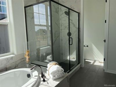 New construction Single-Family house 10151 Waterton Canyon Wy, Colorado Springs, CO 80924 - image 16