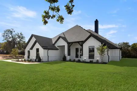 New construction Single-Family house 1004 Arbor Hills Ct, Poolville, TX 76487 - image