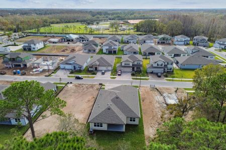 New construction Single-Family house 20219 Oriana Loop, Land O' Lakes, FL 34638 Corina  III- photo 142 142