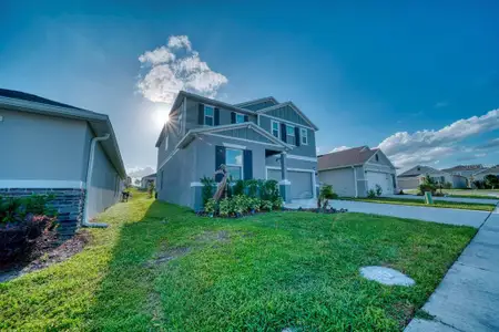 New construction Single-Family house 880 Alvanley Ct, Davenport, FL 33896 - image