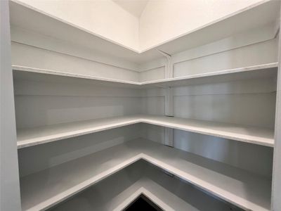 New construction Single-Family house 14309 Duckworth Trce, Manor, TX 78653 plan Palm - image