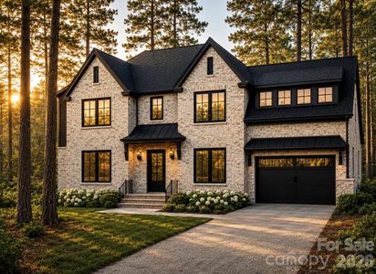 New construction Single-Family house 2862 Lee Lawing Rd, Lincolnton, NC 28092 - image