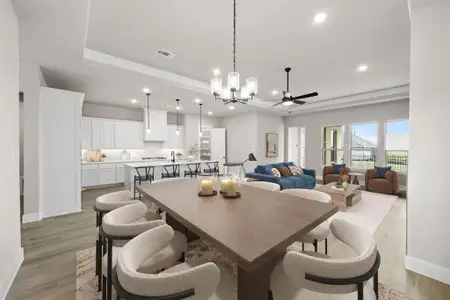 New construction Single-Family house 217 Raveena Blvd, Justin, TX 76247 plan Carmina - image 17