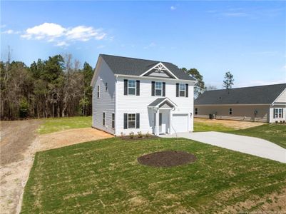 New construction Single-Family house 339 Hookbill Ln, Lillington, NC 27546 plan Tyron - image
