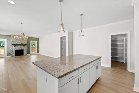 New construction Single-Family house 235 Sequoia Dr, Louisburg, NC 27549 - image 2