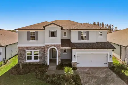 New construction Single-Family house 31131 Hayman Lp, Wesley Chapel, FL 33545 plan Palazzo - image