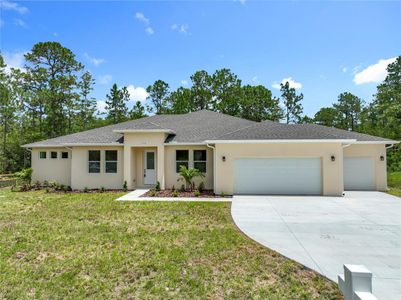 New construction Single-Family house 19041 Mardi Gras St, Orlando, FL 32833 - image