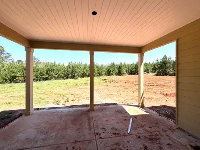 New construction Single-Family house 1903 Hillcrest Rd, Hogansville, GA 30230 plan Birch Creek - image