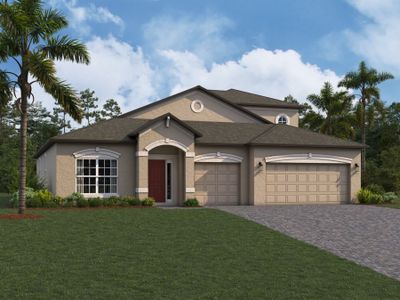 New construction Single-Family house 4969 Eagle Rock Dr, Wimauma, FL 33598 null- photo 5 5