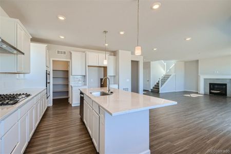 New construction Single-Family house 13889 Bunny Hop Ln, Parker, CO 80134 Camellia- photo 16 16