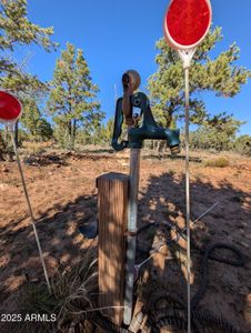 New construction Single-Family house 7267 Red Feather Ct, Happy Jack, AZ 86024 - image 16