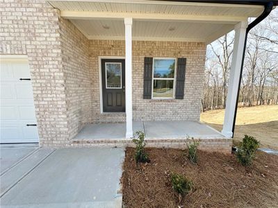 New construction Single-Family house 5110 Black Bear Trl, Douglasville, GA 30135 Rose- photo 18 18