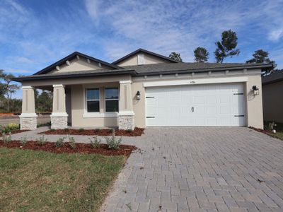 New construction Single-Family house 4969 Eagle Rock Dr, Wimauma, FL 33598 plan Elmhurst - image
