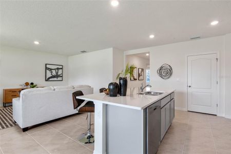 New construction Single-Family house 1229 Alstonia Ln, Mount Dora, FL 32757 - image