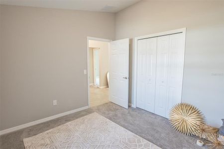New construction Single-Family house 1482 Ne 160Th Pl, Citra, FL 32113 null- photo 12 12