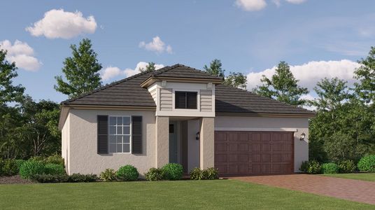 New construction Single-Family house 11612 Violet Jasper Dr, Parrish, FL 34219 plan Dawning - image