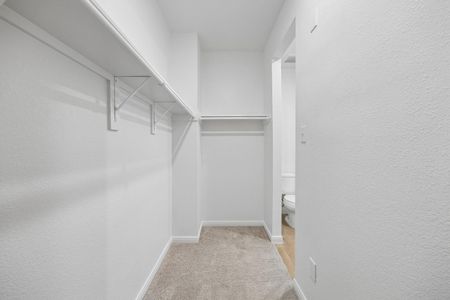 New construction Single-Family house 25260 Leather Leaf Ct, Montgomery, TX 77316 - image 9
