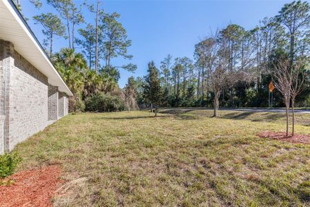 New construction Single-Family house Palm Coast, FL 32164 null- photo 44 44