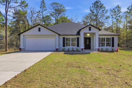 New construction Single-Family house 13418 Cormorant Rd, Weeki Wachee, FL 34614 - image
