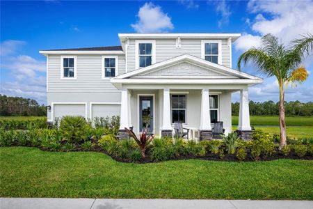 New construction Single-Family house 3070 Tiger Palm Wy, New Smyrna Beach, FL 32168 - image