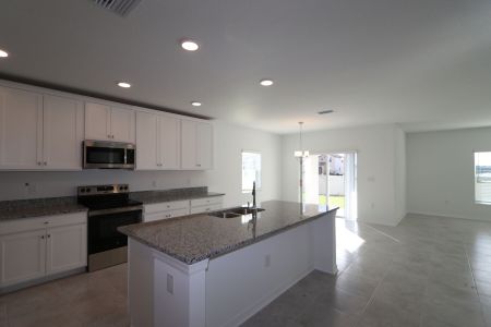 New construction Single-Family house 12219 Hilltop Farms Dr, Dade City, FL 33525 Malibu- photo 111 111