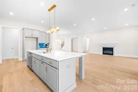 New construction Single-Family house 15718 Sweet Virginia Ln, Unit 56, Huntersville, NC 28078 - image 14