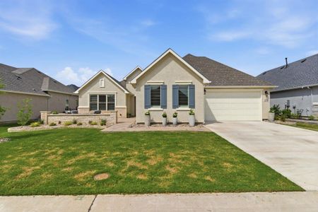 New construction Single-Family house 12704 Golden Rock Dr, Denton, TX 76207 - image