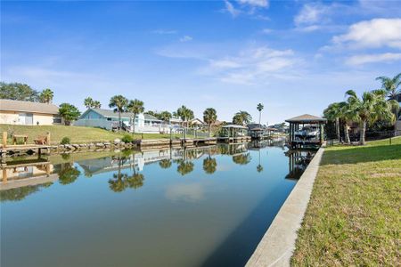 New construction Single-Family house 9 Coolidge Ct, Palm Coast, FL 32137 null- photo 53 53