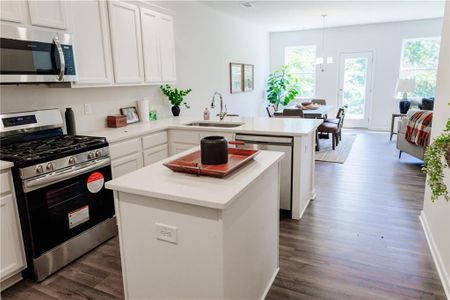 New construction Single-Family house 21 Berry Dr, Dawsonville, GA 30534 - image 11