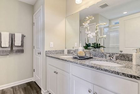 New construction Single-Family house 359 Gothenburg Trl, Summerville, SC 29486 Telfair- photo 15 15