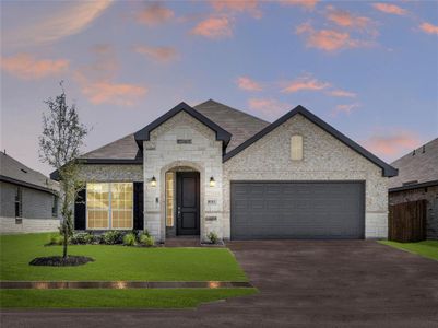 New construction Single-Family house 10313 Dittany Lane, Fort Worth, TX 76036 Concept 2065- photo 0