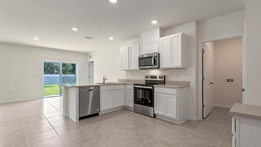 New construction Single-Family house 964 Bear Hammock Dr, Umatilla, FL 32784 DAKOTA- photo 6 6