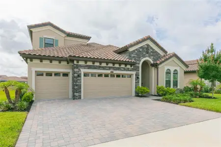 New construction Single-Family house 11105 Rustic Timber Lp, San Antonio, FL 33576 - image