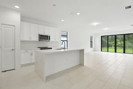 Maple Ridge by CC Homes in Ave Maria - photo 15 15