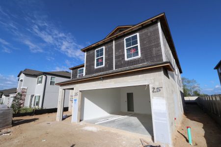 New construction Single-Family house 12252 Hilltop Farms Dr, Dade City, FL 33525 Cabo- photo 59 59