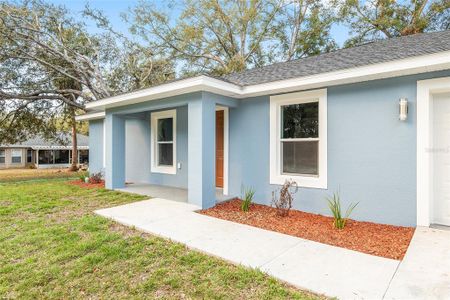 New construction Single-Family house 3344 Sw 151 Ct, Ocala, FL 34481 - image