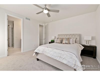 New construction Single-Family house 3425 Green Lake Dr Ft, Fort Collins, CO 80524 - image 10