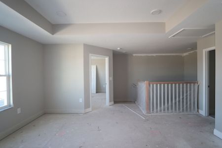 New construction Single-Family house 31236 Denham Ridge Ln, Wesley Chapel, FL 33545 Santa Monica- photo 109 109