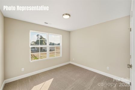 New construction Single-Family house 87 Coon Creek Rd, Pageland, SC 29728 - image 16