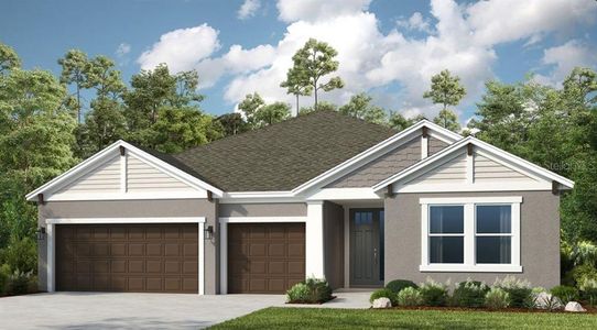 New construction Single-Family house 3205 Lumber Falls Dr, Plant City, FL 33565 plan Saint Croix - image