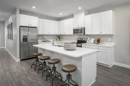 New construction Single-Family house 2424 Green Juniper Wy, Gainesville, GA 30507 - image