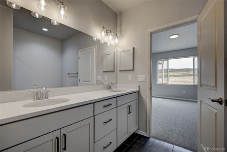 New construction Single-Family house 366 Hardstone Dr, Monument, CO 80132 - image 5