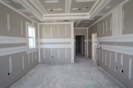 New construction Single-Family house 31205 Denham Ridge Ln, Wesley Chapel, FL 33545 Santa Monica- photo 52 52