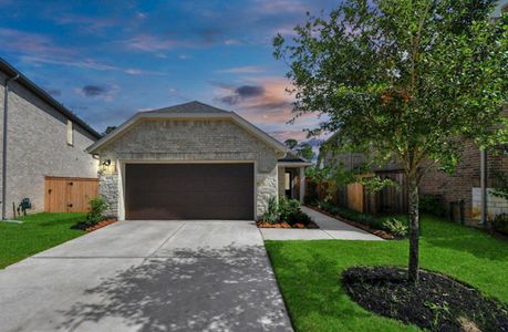 New construction Single-Family house 21322 Catelonia Yew Ct, Hockley, TX 77447 plan Hays - image