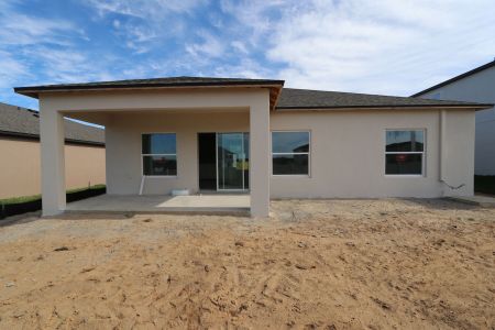 New construction Single-Family house 12227 Hilltop Farms Dr, Dade City, FL 33525 Sentinel- photo 61 61