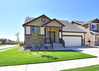 New construction Single-Family house 437 Vivid Ln, Windsor, CO 80550 null- photo 1 1