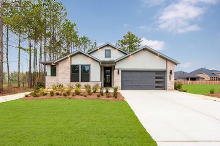 New construction Single-Family house 1915 Langford St, Montgomery, TX 77316 plan Biltmore - image