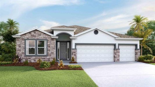 New construction Single-Family house 33363 Colburn Creek Way, Wesley Chapel, FL 33545 Destin- photo 0