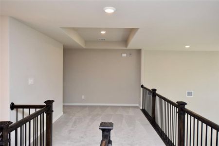 New construction Single-Family house 3940 Wilderness Dr, Prosper, TX 75078 - image 18