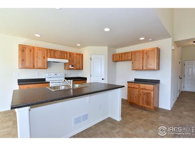New construction Single-Family house 2429 Dandelion Ln, Johnstown, CO 80534 - image 17